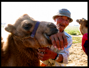 Screen Shot 0025-05-16 at 13.41.31