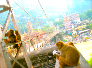 Screen Shot 0025-07-05 at 21.24.42