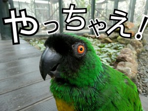 ??????