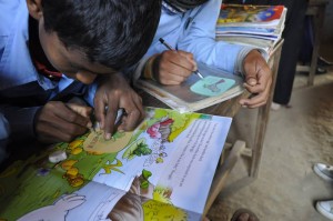 1010591_499313423513727_2014184009_n