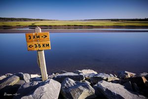 10943431345_6114f8b41f_z