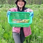 【休学×WWOOF】携帯の電波より山菜採り！