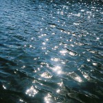 201089_358609907566841_1618393001_o