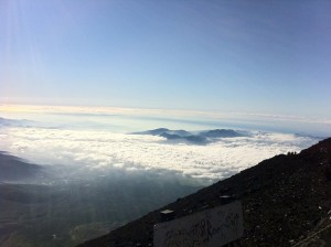 269919_173811402686203_3562202_n