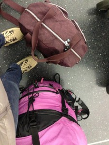 532440_392924967451445_851417267_n