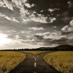 fork-in-the-road